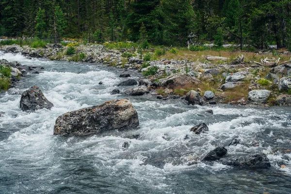 Poderoso Río Montaña Fluye Través Del Bosque Hermoso Paisaje Alpino — Foto de Stock