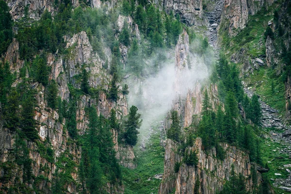 Piedras Afiladas Montaña Rocosa Con Árboles Coníferas Densa Niebla Nube — Foto de Stock