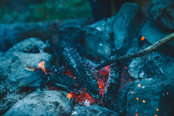 火の近くで焼かれた鮮やかな色付きの薪 キャンプファイアと青煙のオレンジの炎と大気暖かい背景 たき火のフルフレームイメージ 空気中のメンバーや灰の美しい旋風 — ストック写真
