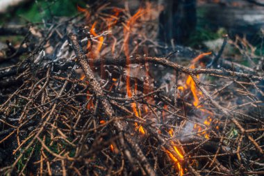 Yakın planda yanan dallar ve çalılar. Atmosferik sıcak arka plan, turuncu kamp ateşi ve mavi duman. Şenlik ateşinin güzel tam kare görüntüsü. Yakacak odun alevler içinde yanıyor..