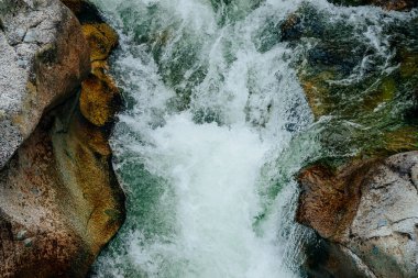 Dağ deresi çağlayanlarıyla birlikte doğanın arka planı. Yeşil suları olan güzel dağ dereleri olan manzaralı bir yer. Küçük bir nehirde yeşil suyu olan cennet manzarası. Hızlı su akışı yakın çekim.