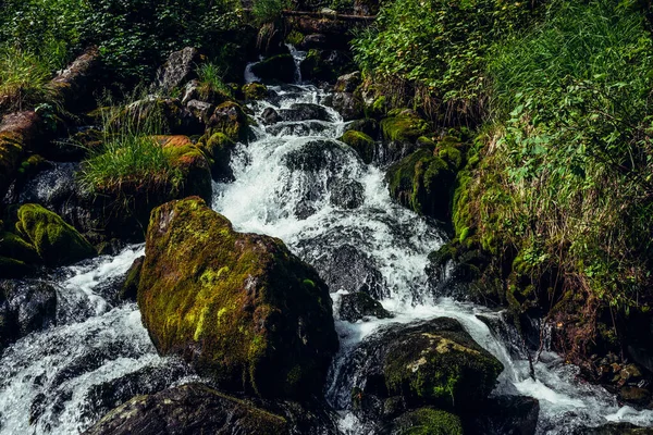Живописный Природный Ландшафт Красивыми Каскадами Горных Ручьев Среди Пышных Зарослей — стоковое фото