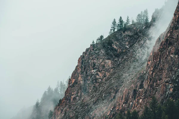Hermosa Vista Espectacular Montaña Rocosa Con Árboles Coníferas Densa Niebla — Foto de Stock