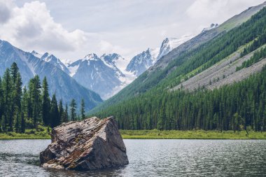 Karlı dağların arkasındaki vadide taşlı güzel göle meditasyon manzarası. Dağ gölünde büyük yosunlu taşlarla rahatlatıcı yeşil bir manzara. Su yüzeyinde dalgalanmalar olan Alp Gölü.