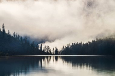 Sivri ağaç siluetleri dağın yamacında yoğun siste. Highland Gölü 'nün sularını sakinleştirmek için çam refleksi. Sabahın erken saatlerinde Alp sakin manzarası. Hayaletli atmosfer manzarası.