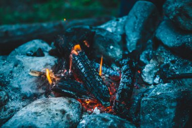Yanan odun odunları yakın plan ateşte yanmış. Atmosferik sıcak arka plan ve turuncu kamp ateşi. Şenlik ateşinin hayal edilemez tam kare görüntüsü. Güzel ateşte odun yakmak. Harika alev.