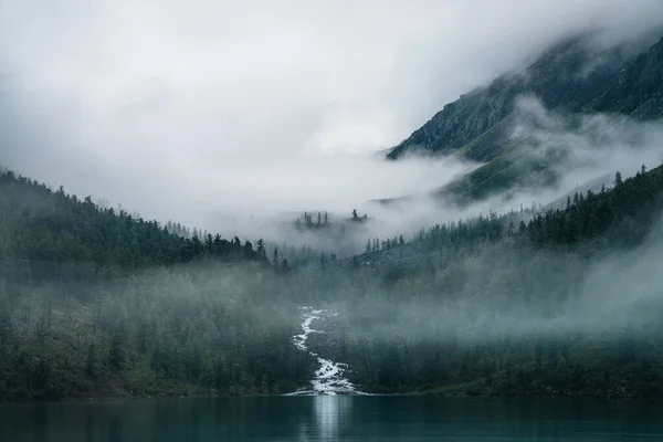 Highland Creek Flui Através Floresta Flui Para Lago Montanha Paisagem — Fotografia de Stock