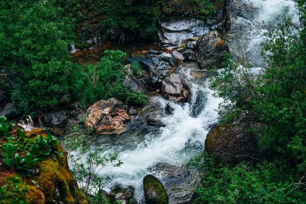 Atmosferik Yeşil Orman Manzarasından Kayalık Vadideki Dağ Deresine Vahşi Nehri — Stok fotoğraf