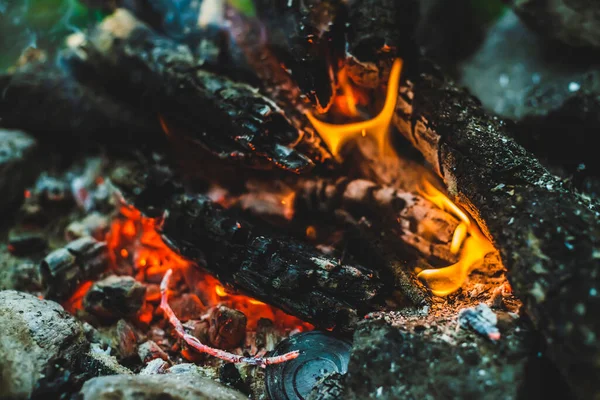 Яркий Тлеющий Лес Сгорел Огне Крупным Планом Атмосферный Теплый Фон — стоковое фото