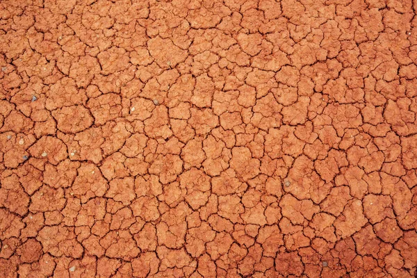 Nature Background Cracked Dry Lands Natural Texture Soil Cracks Broken — Stock Photo, Image