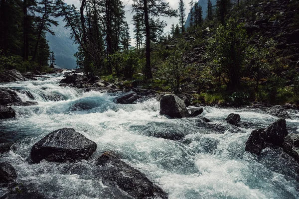 Poderoso Río Montaña Fluye Través Del Bosque Hermoso Paisaje Alpino — Foto de Stock