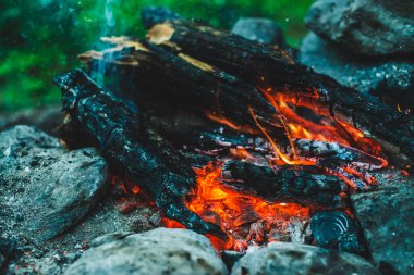 Yanan odun odunları yakın plan ateşte yanmış. Atmosferik sıcak arka plan, turuncu kamp ateşi ve mavi duman. Şenlik ateşinin hayal edilemez tam kare görüntüsü. Güzel ateşte yanan odunlar.
