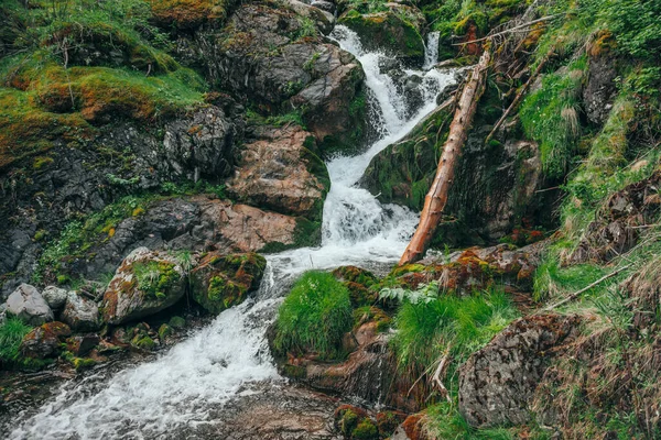 Живописный Пейзаж Красивым Водопадом Лесу Среди Богатой Растительности Атмосферный Лесной — стоковое фото