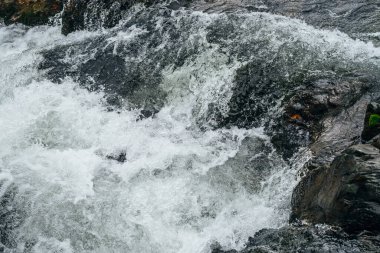 Dağ nehrinin su tabancasının tam çerçeveli arka planı. Akıntılı dağ deresinin güçlü su akıntısı. Dağ deresinin doğal desenli akışı. Hızlı desen yakın plan.