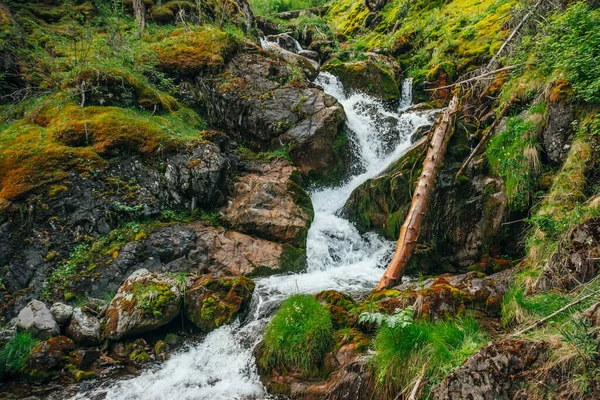 Живописный Пейзаж Красивым Водопадом Лесу Среди Богатой Растительности Атмосферный Лесной — стоковое фото