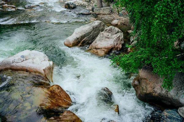 Ormandaki Gür Çalılıkların Arasında Yeşil Suyu Olan Güzel Bir Dağ — Stok fotoğraf