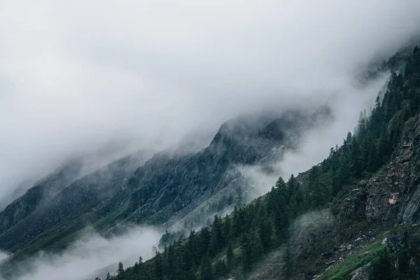 Gespenstisch Vernebelter Nadelwald Felsigen Berghang Stimmungsvoller Blick Auf Große Felsen — Stockfoto