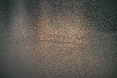 Güneşin doğuşunda gölün altın gibi sakin suyunun dokusu. Su yüzeyinde meditasyon dalgalanmaları. Gün batımında Altın Göl 'ün doğası çok az. Temiz suyun doğal arkaplanı. Göl parçasının tam çerçevesi.