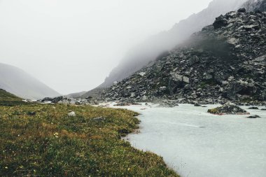 Yağmurlu havalarda morinaların arasında dağ deresi olan atmosferik bir manzara. Kayaların arasında sütlü nehrin olduğu kasvetli bir manzara. Dağ nehrinin kasvetli manzarası. Süt suyunda yosun ve liken içeren taşlar.