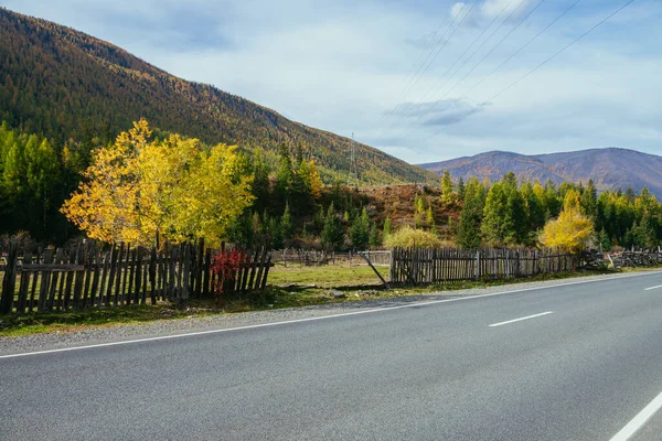 Colorido Paisaje Otoñal Con Árboles Multicolores Bajo Sol Cerca Carretera —  Fotos de Stock