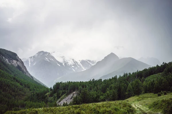 Paisaje Montañoso Dramático Con Bosque Verde Pico Puntiagudo Entre Nubes — Foto de Stock
