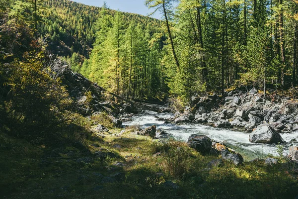 Paisaje Alpino Escénico Con Río Montaña Bosque Salvaje Otoño Luz — Foto de Stock