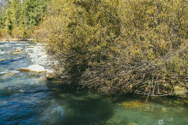 Paisaje Alpino Escénico Con Río Montaña Bosque Salvaje Otoño Luz — Foto de Stock