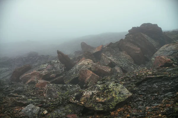 Campo Piedra Densa Niebla Las Tierras Altas Desierto Piedra Vacío — Foto de Stock