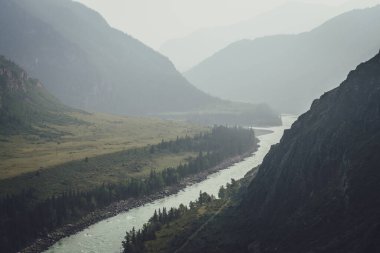 Geniş dağ nehri olan puslu dağ manzarası. Sis içindeki iki dağ nehrinin birleştiği koyu yeşil kasvetli manzara. Büyük nehirlerin yağmurlu havada birleşmesine karanlık atmosfer manzarası.
