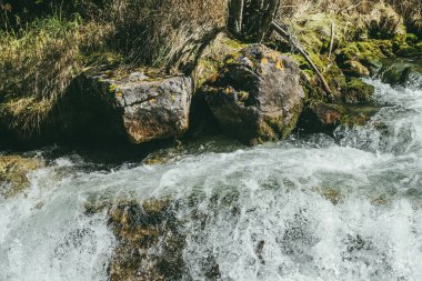 Güneşli bir günde dağ nehrinin çalkantılı akışında büyük yosunlu kayalarla dolu renkli bir arka plan. Güneş ışığında su akıntısında yosunları olan büyük taşlar. Hızlı nehirde güzel akıntılar. Dağ Deresi.