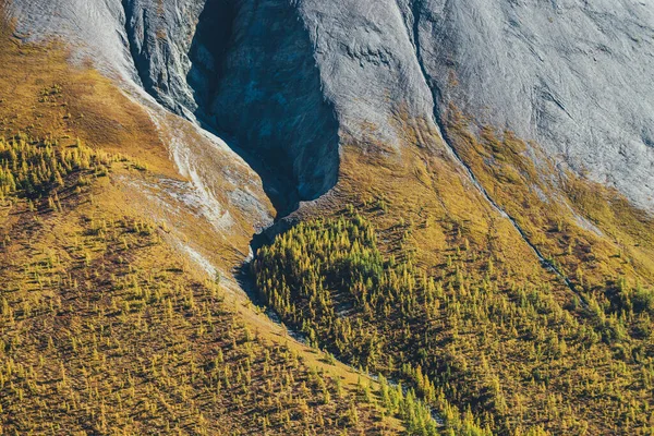 Csodálatos Alpesi Táj Narancssárga Őszi Erdő Lábánál Sziklás Hegy Napsütésben — Stock Fotó