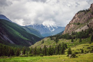 Yeşil ormanın güneş ışığında olduğu dramatik dağ manzarası ve yağmurlu alçak bulutlar arasında karlı dağlar. Değişken havada bulutlu gökyüzünün altında karlı dağın tepesine güzel bir atmosferik alp manzarası.