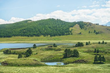 Orman tepeleri arasında, masa üzerinde göl sistemi olan güzel yeşil dağ manzarası. Platoda göl grubuyla manzara. Mavi göl sistemi ve geniş vadideki kanallar. Dağ gölleri sistemi