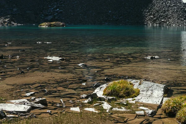 Sunny Beautiful Scenery Mosses Grasses Stones Water Edge Mountain Lake — Stock Photo, Image