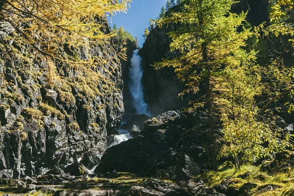 Höstfjällslandskap Med Vertikalt Stort Vattenfall Och Gula Lärkträd Stort Vattenfall — Stockfoto