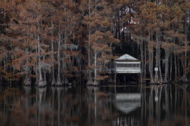 Bu, Caddo Lake Texas, Louisiana, ABD 'de gün doğumunun resmi.