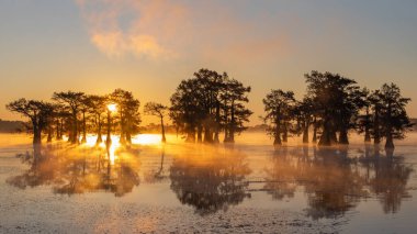 Bu, Caddo Lake Texas, Louisiana, ABD 'de gün doğumunun resmi.