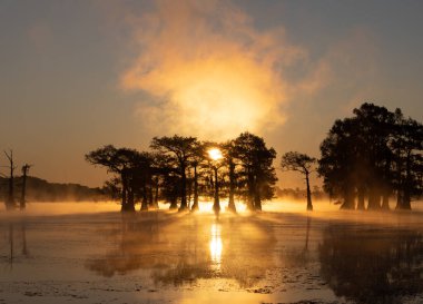 Bu, Caddo Lake Texas, Louisiana, ABD 'de gün doğumunun resmi.