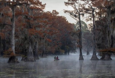 Bu, Caddo Gölü, Teksas, Louisiana, ABD 'de kano yapan bir çiftin fotoğrafı.