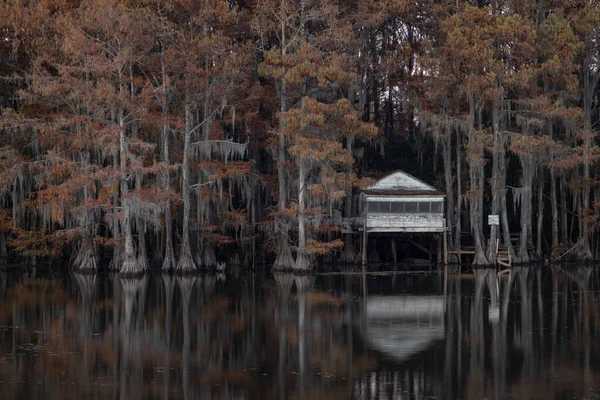 Bu, Caddo Lake Texas, Louisiana, ABD 'de gün doğumunun resmi.