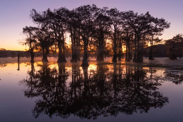 Esta Foto Salida Del Sol Caddo Lake Texas Louisiana — Foto de Stock