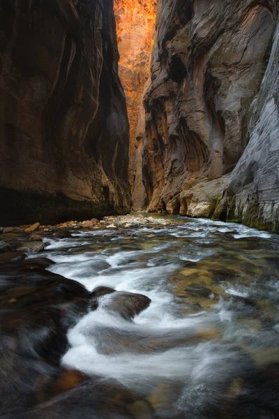 Bu, Utah, ABD 'de sonbahar sezonunda Zion Ulusal Parkı' ndaki Narrows 'un resmi.