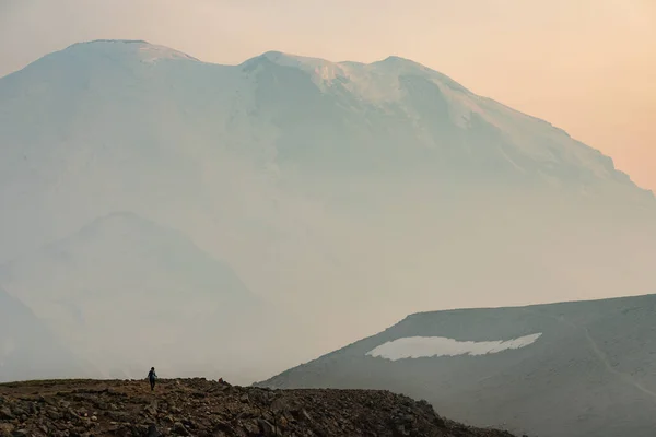 Dies Ist Ein Bild Des North Burrough Trail Mount Rainier — Stockfoto