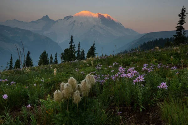 これはワシントンでの日の出の間に野の花とレイニア山の写真です — ストック写真