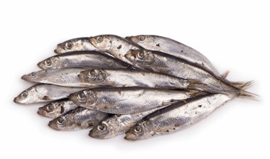 Salted sprats on white clipart