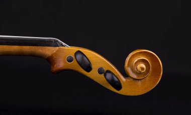 Orkestranın keman müzik aleti siyah üzerine izole edilmiş.