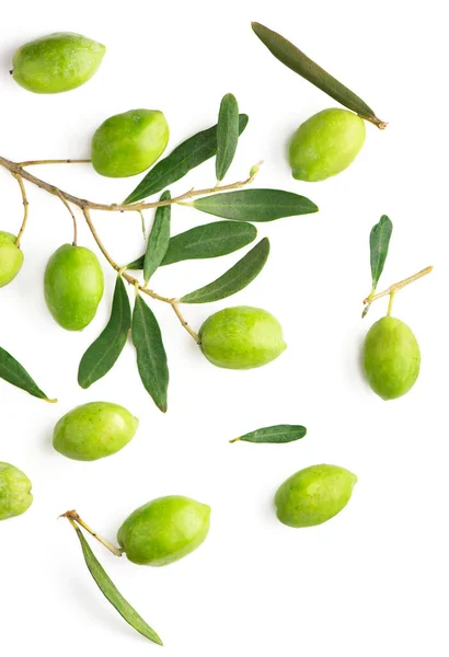 Olive Fruit Olive Leaves White Background — Stock Photo, Image