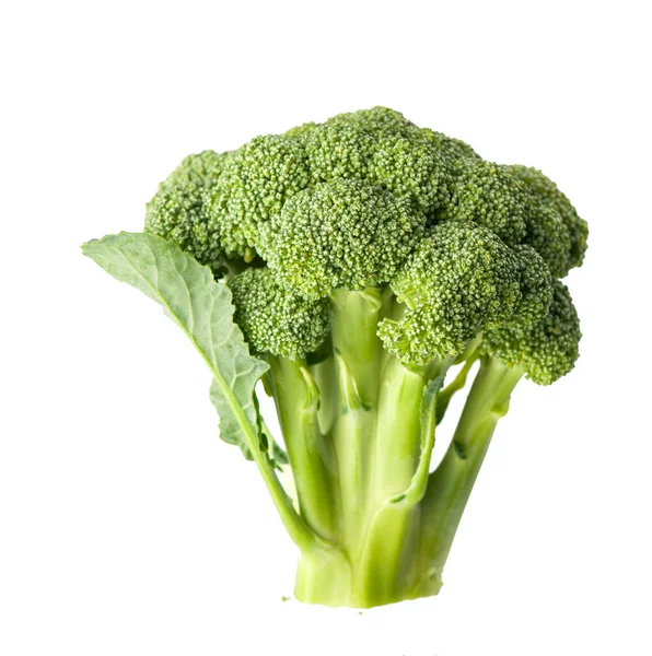Frischer Grüner Brokkoli Isoliert Auf Weißem Hintergrund — Stockfoto