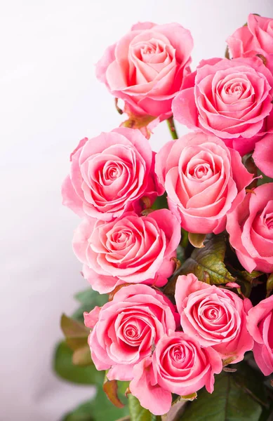 Rózsaszín Rózsák Elszigetelt Fehér Háttér — Stock Fotó