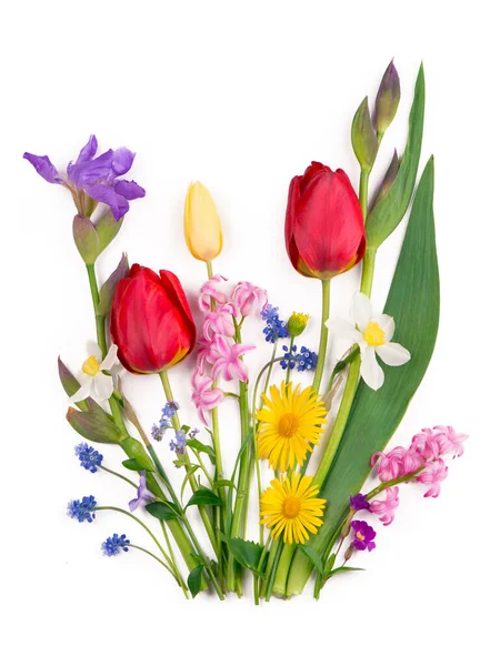 Spring Flowers Daffodils Tulips — Stock Photo, Image